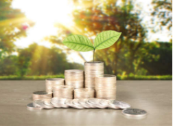 正规平台深度剖析：优势风险全知道？[年份]选择建议助你避坑