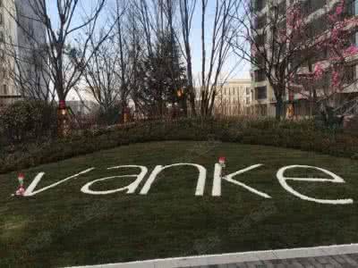 安全配资工具揭秘：投资人都在用什么？助你抢占交易黄金先机