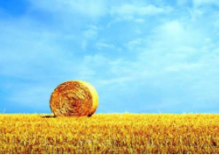 低风险股票怎么选？平台排行榜推荐指南，全网最全分析正规平台高通过率